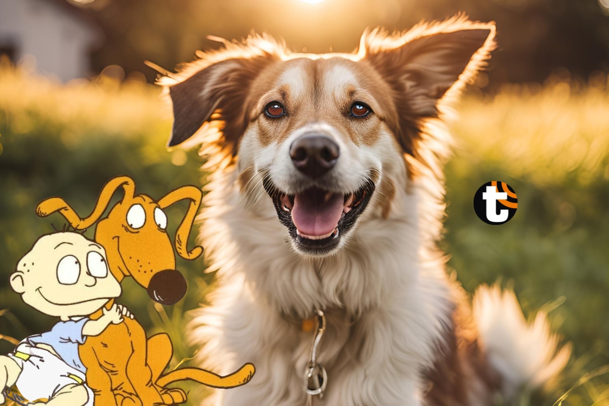 Desde hace más de una década se les conoce a los perritos de la calle o con dueños como Firulais, descubre cómo nació tal apelativo.