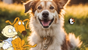 ¿Cuál es el origen del nombre ‘Firulais’ y por qué a muchos perros los llaman así?