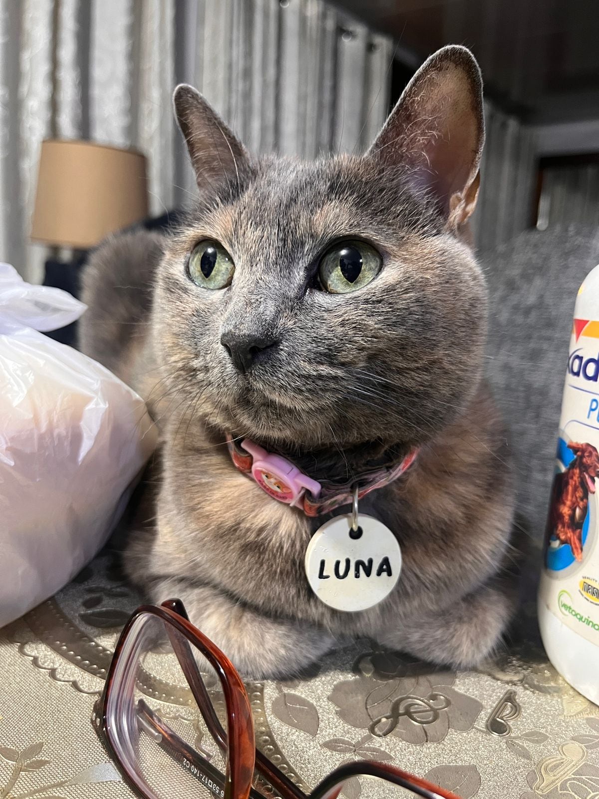 Luna