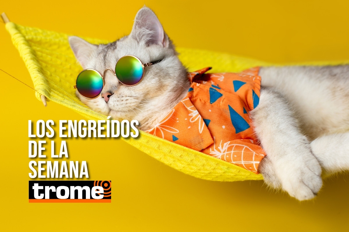 Conoce a las 'ternuritas' elegidas de esta semana.