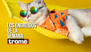 Ellos se robaron el show: estos son los cuatro engreídos Trome de la semana