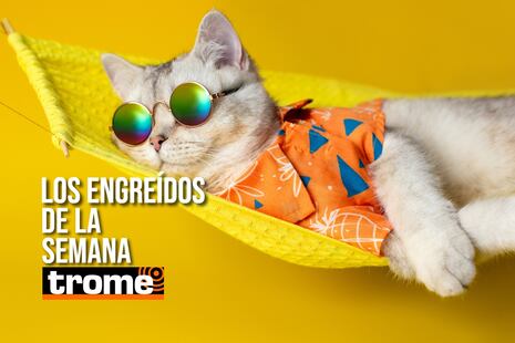 Ellos se robaron el show: estos son los cuatro engreídos Trome de la semana