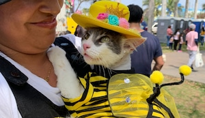 ¡Atención, amantes de las mascotas! Habrá festival gratuito con consultas veterinarias, vacunas y premios