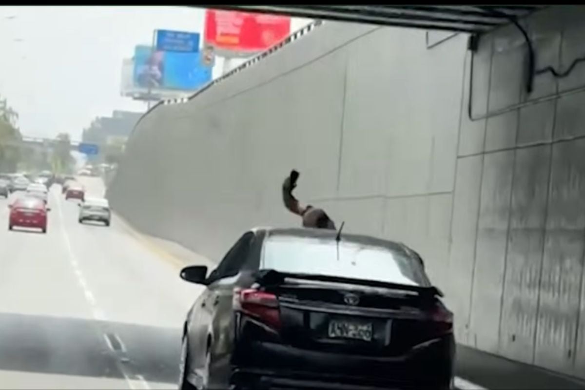 Conductores de la Vía Expresa Javier Prado se soprendieron con esta imagen (Foto: @panamericana)