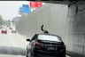 ¡Se lo llevó en el capó! Conductor tuvo furiosa reacción tras chocar en la Vía expresa de Javier Prado