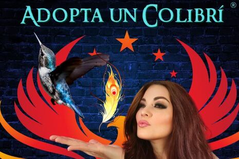 Adopta un Colibrí: Mexicana salva a miles de estas aves que mueren en la ciudad y crea espacios de flores