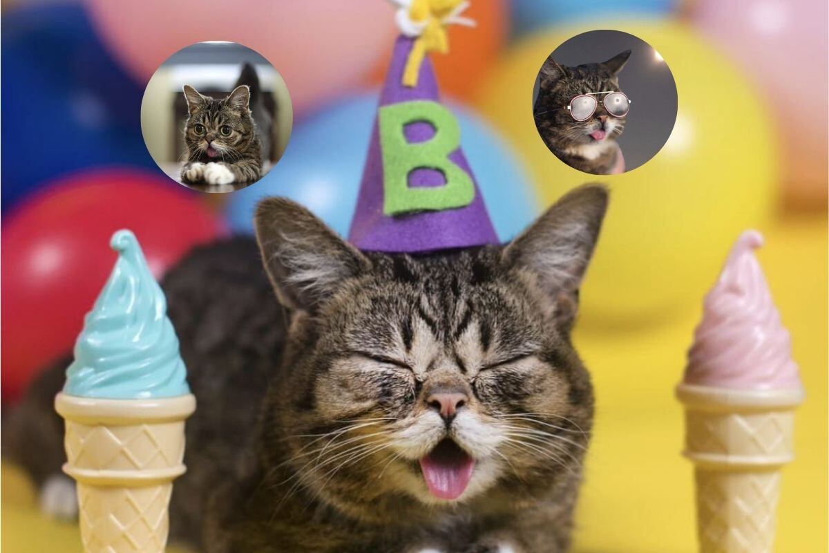 Sus grandes ojos resaltan en sus fotos.