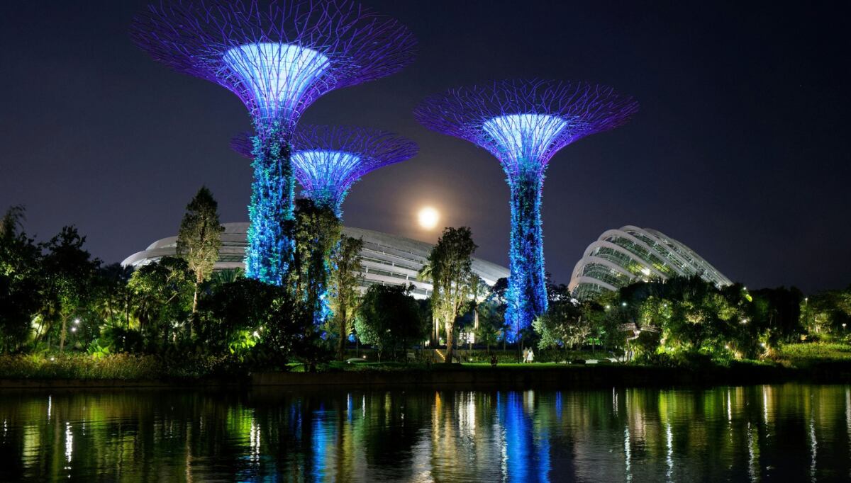 Esta medida promoverá el desarrollo sostenible y generará beneficios para las comunidades locales