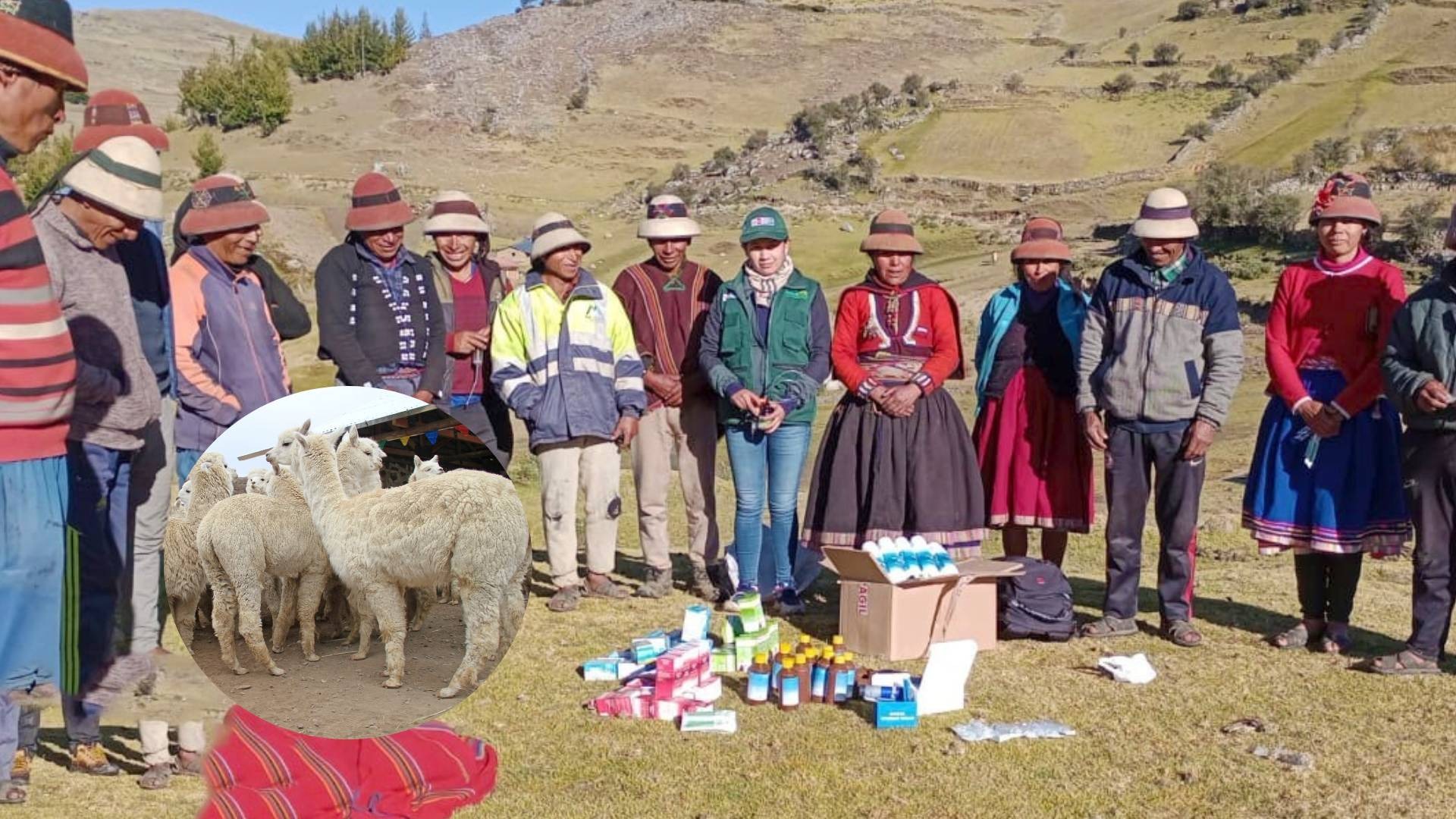 Midagri destina presupuesto de 94 millones de soles para 15 regiones para hacer frente a heladas y friaje.