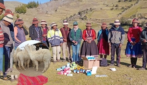 Ganaderos y agricultores de 15 regiones recibirán presupuesto para hacer frente a heladas y friaje