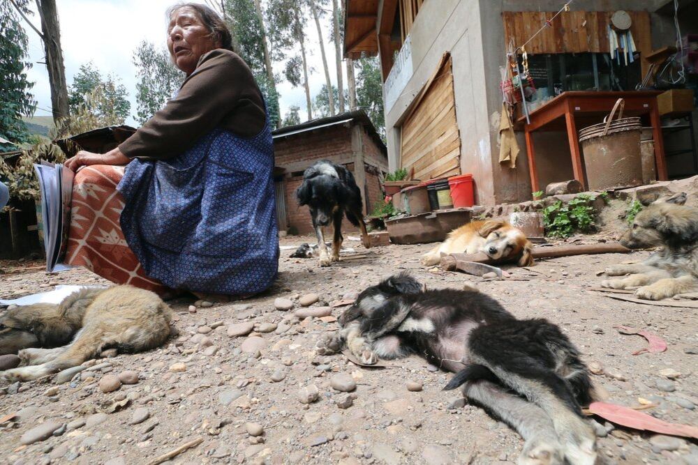Cusco. La anciana sufre de hernia y ahora no puede caminar mucho. (FOTO: JUAN CARLOS SEQUEIROS)
