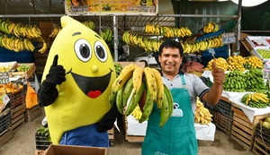 Antonio, el ‘Rey del Plátano’ que madruga para sacar adelante a su familia
