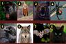 El animal que elijas en este TEST viral revela tus rasgos oscuros de personalidad