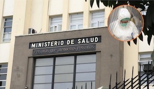 La influenza A H3N2 llegó al Perú: Detectan que dos niños contrajeron este mal