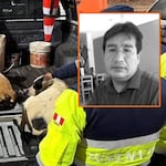 Cusco: Perros alimentados con restos humanos son puestos en adopción tras macabro hallazgo