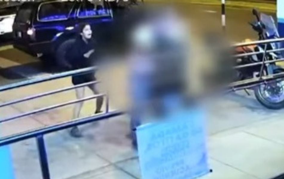 Veterinario sufre agresión de ciudadano extranjero que abandonó cachorros en Surco. (Foto: Captura de video /RPP)