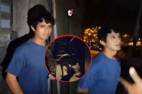 ¡Horror en Independencia! Sujeto mutila los genitales de su perro y sigue libre: vecinos piden rescate ur...