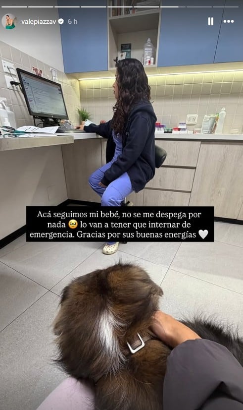 Valeria Piazza vivió una madrugada de angustia luego de que su querida mascota, Bruno, sufriera una emergencia de salud.
