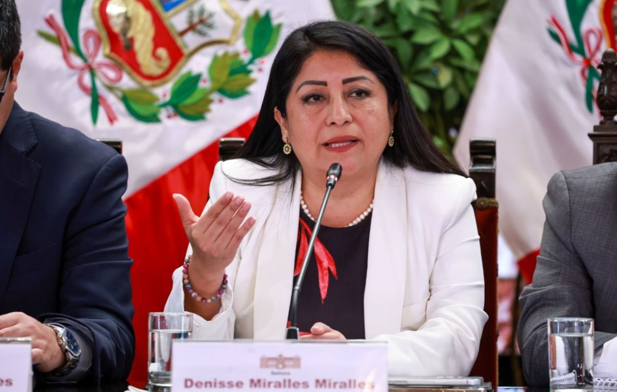 Presidenta del Consejo de Ministros explicó que las clases virtuales deben ser acatadas por los colegios particulares (PCM)