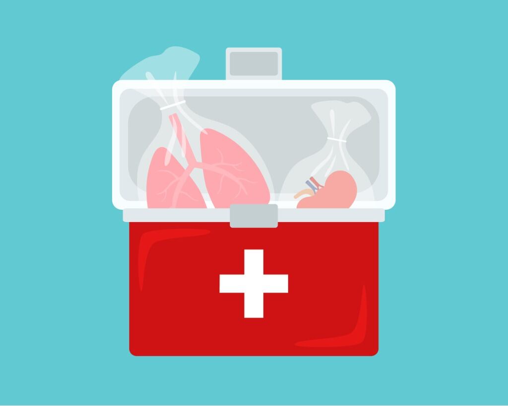 Se pueden donar. Foto: ¡Stock.