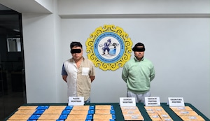 Arequipa: Caen 2 de mafia de clonación y comercialización de documentos vehiculares falsificados