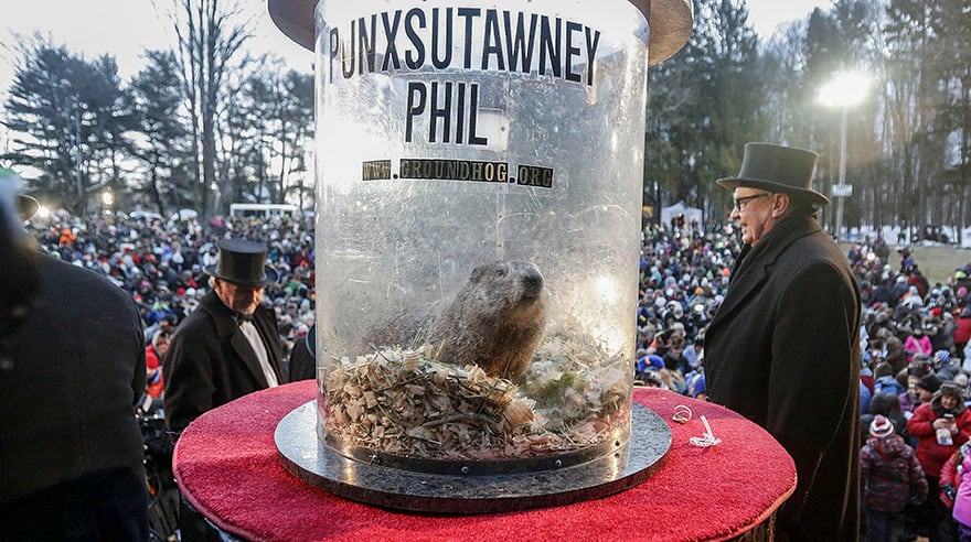 La marmota Phil es una leyenda en Estados Unidos. (EFE)