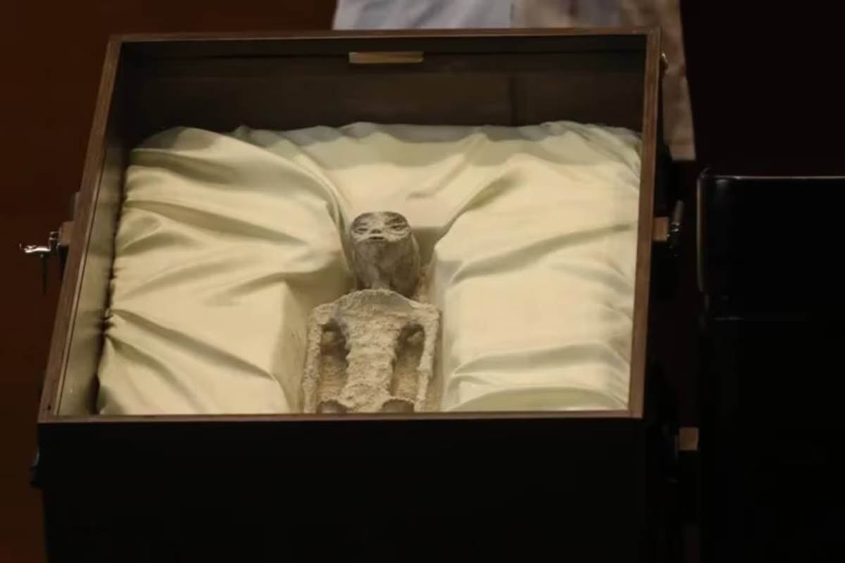 Cuerpos no humanos fueron exhibidos en Congreso de México.