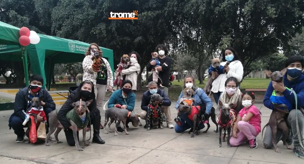 Eligen en Surco a los 'reyes caninos de la primavera'. Tuvo a varios perritos sin pelo del Perú. (Trome)