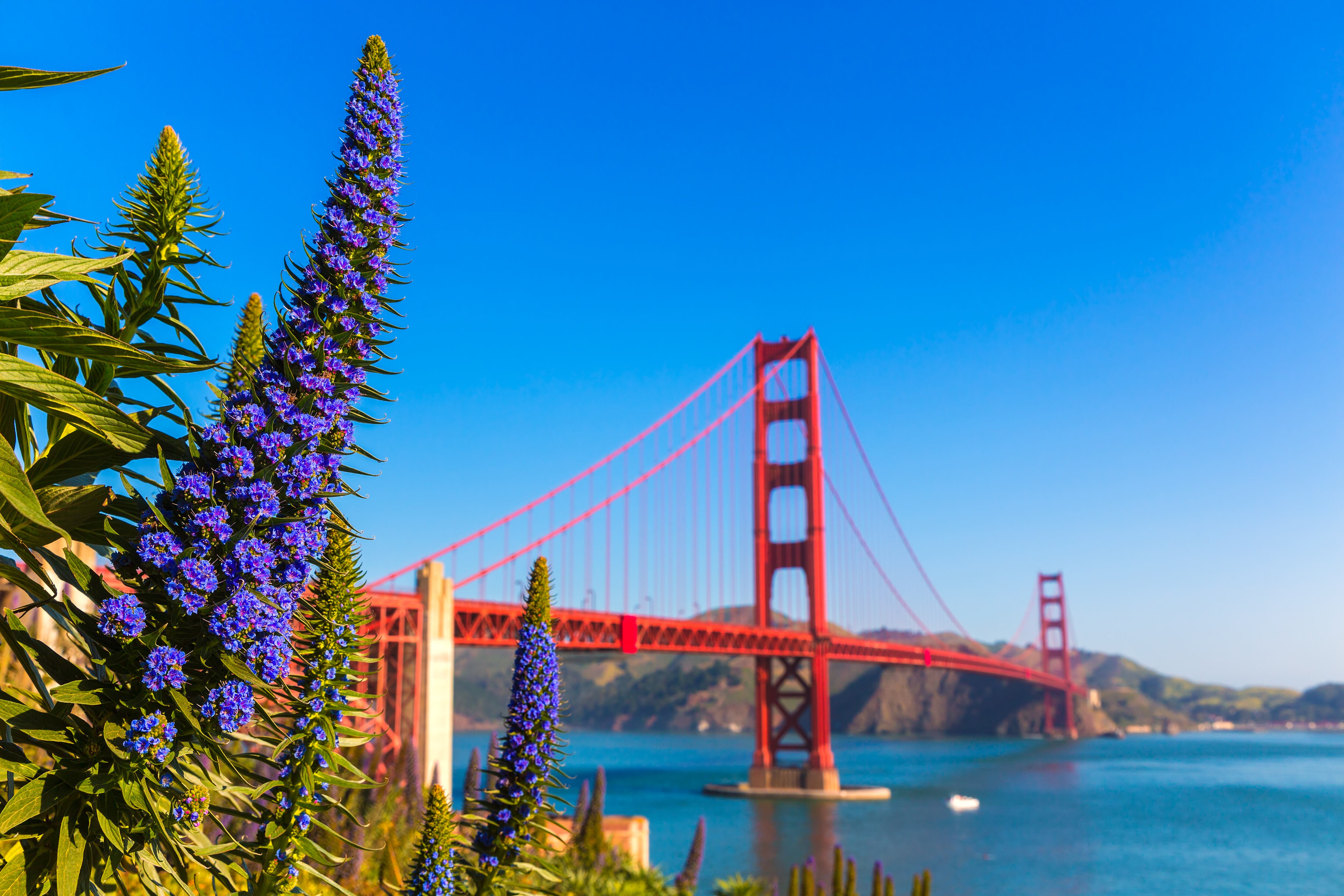 Puente Golden Gate, San Francisco (Foto: Shutterstock)