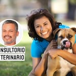 Responsabilidad y cuidado: claves para mantener sana a tu mascota