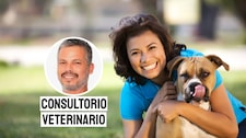 Responsabilidad y cuidado: claves para mantener sana a tu mascota
