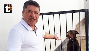 ¡Exalcalde de Arequipa rompe su silencio tras ser vacado! Niega haber usado personal municipal para cuidar a su mascota ‘Flechita’