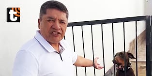 ¡Exalcalde de Arequipa rompe su silencio tras ser vacado! Niega haber usado personal municipal para cuidar a su mascota ‘Flechita’
