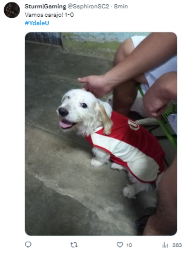 Salieron los más hilarantes memes del clásico por la final de la Liga 1