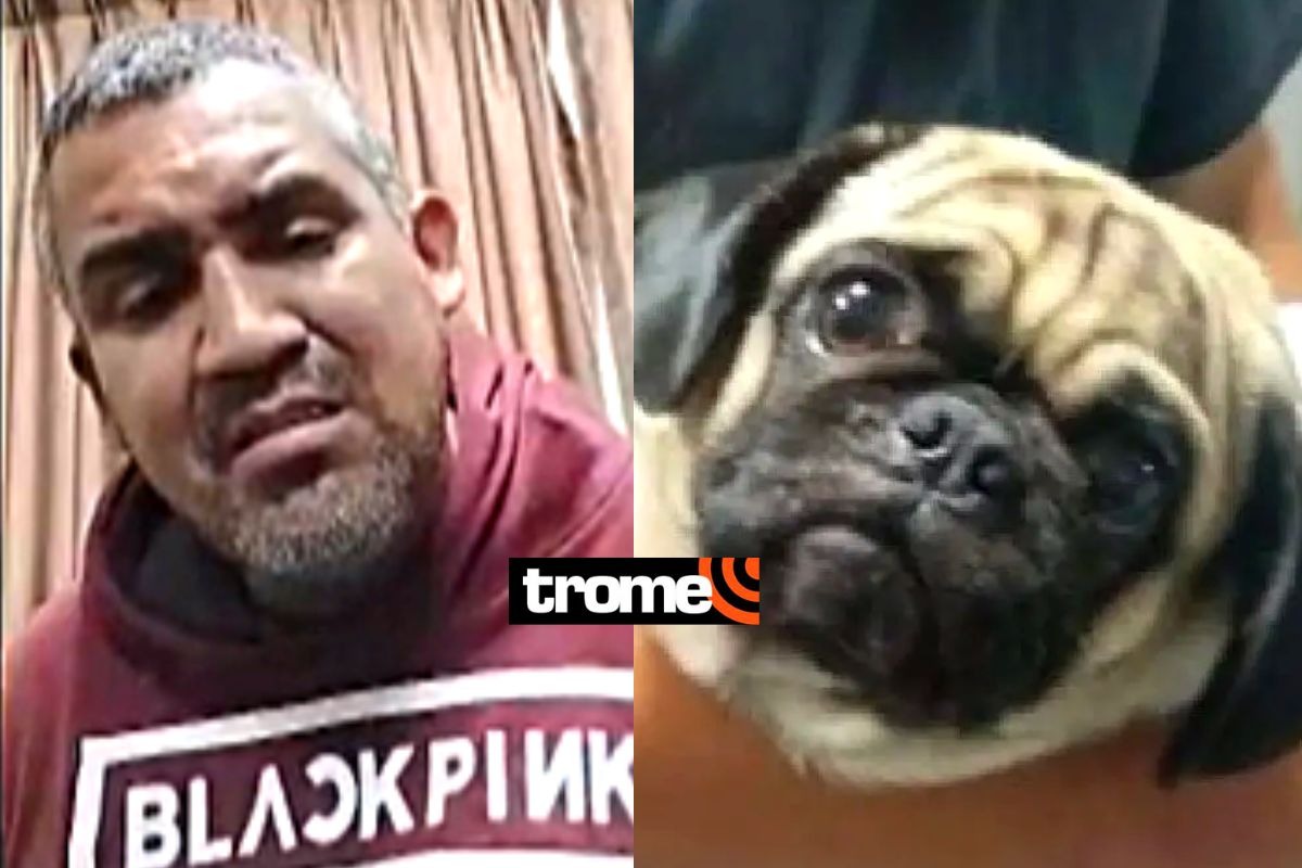 Dictan prisión efectiva para salvaje hombre que apuñaló a perrita Dachi