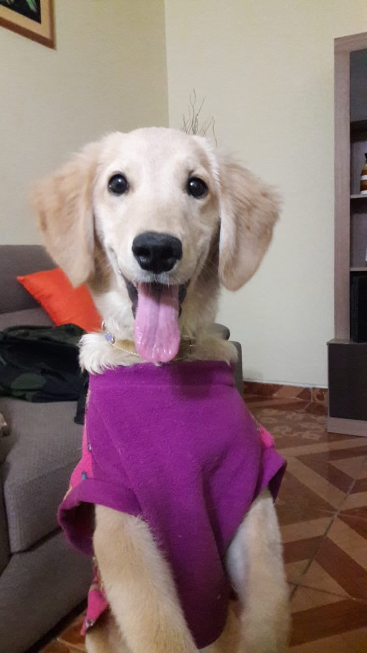 LOLA.