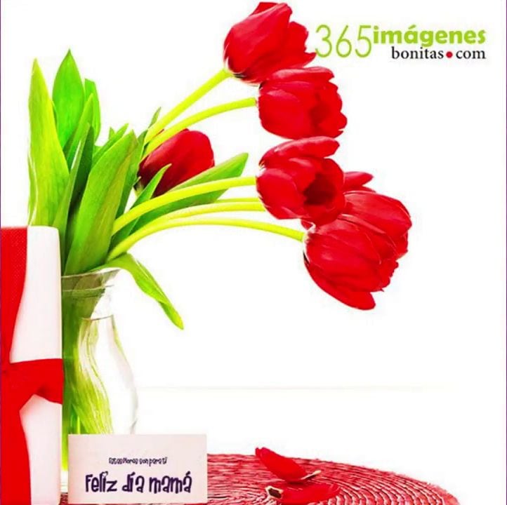 La vida me dio una madre como tú, y no puedo estar más agradecido por eso. | Crédito: 365 Imágenes Bonitas / YouTube