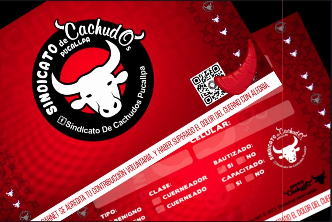 Se agrupan y explican que celebran que “su historia de desamor ya pasó” (Entrevista: Isabel Medina / Trome).