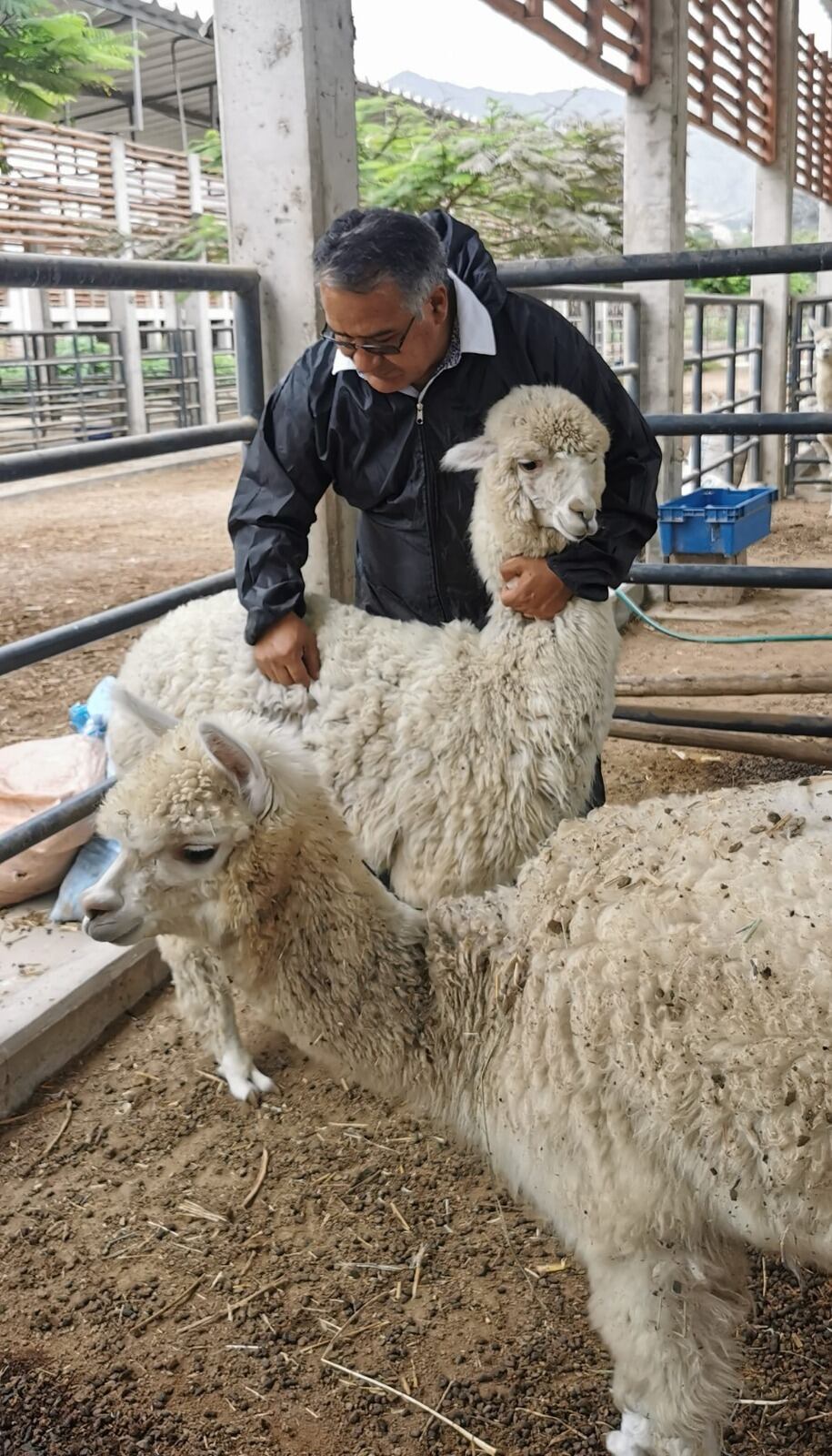 Ahora se pueden analizar fibras de colores y extender su eficacia hacia materias primas de otras especies, como las mencionadas líneas arriba.