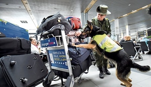 Burriers en el aeropuerto