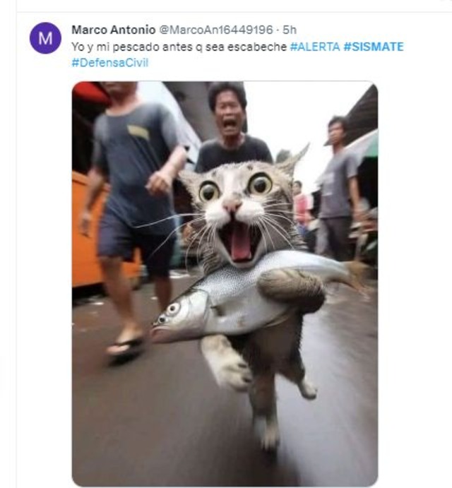 Los memes de la alerta del SISMATE (Foto: Twitter)