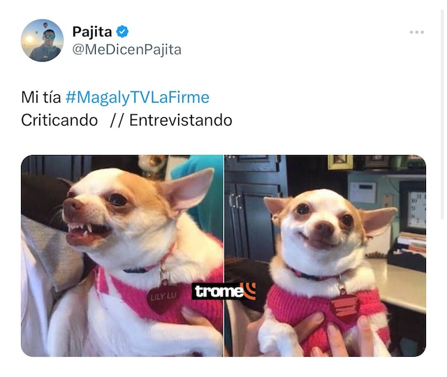 Paolo Hurtando en entrevista con Magaly Medina sobre Jossmery Toledo