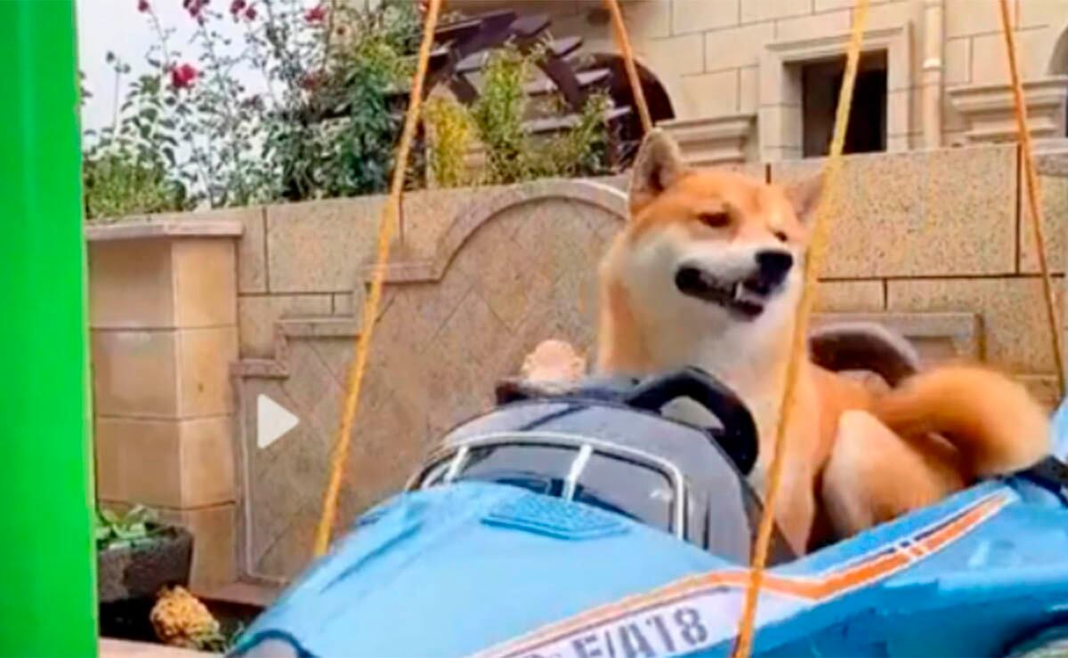 En 2019 empezó con este proyecto. Inició con una casa pequeña y luego de tres años la convirtió en mansión.| Foto: Zhou