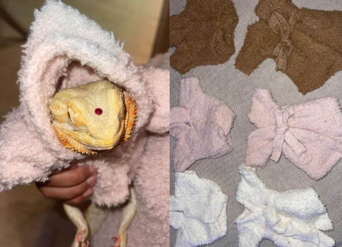 'Speed' tiene una amplia colección de prendas iguales a las de North West y diseñadas por la celebridad. (Foto: @kimkardashian / Instagram)