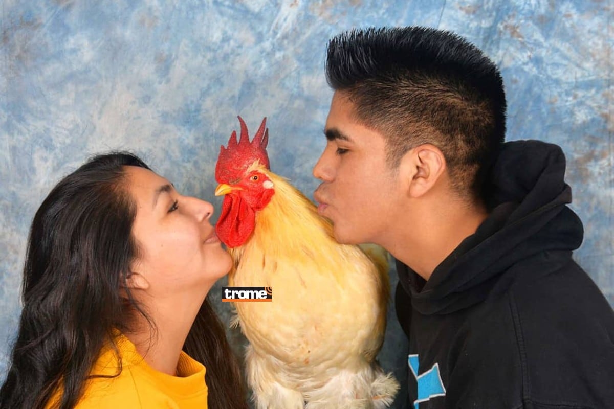 Gallito Lino luce sus botitas y es rey del TikTok. Vive con pareja de jóvenes y sabe dar abrazos. (Entrevista: Isabel Medina / Fotos: Trome / Compos. Gallo Lino)