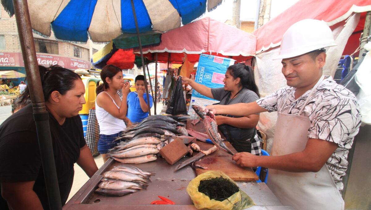 Alfredo Lizarbe, 'El Ingeniero de la Cumbia', canta temas de Chacalón y Vico y su Grupo Karicia, pero antes trabajó fileteando y pelando pescados en su barrio, en San Juan de Lurigancho