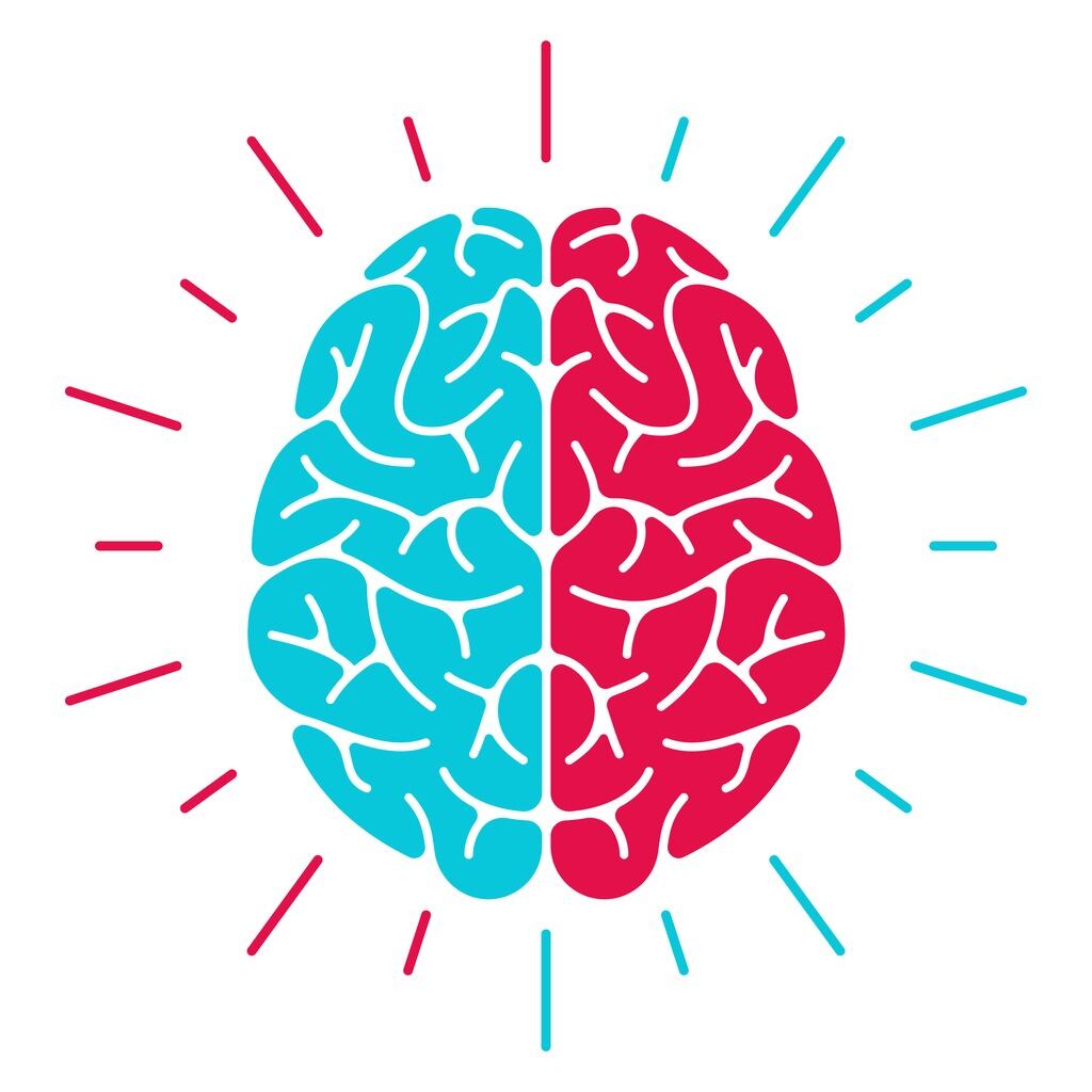 El cerebro está constituido por dos mitades, la mitad derecha llamada hemisferio derecho y la mitad izquierda, hemisferio izquierdo. Foto: ¡Stock.