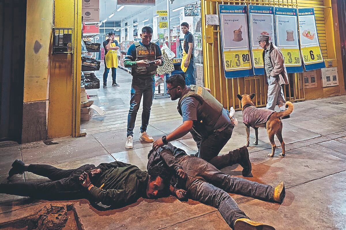 Extranjeros querían el robo perfecto en SMP