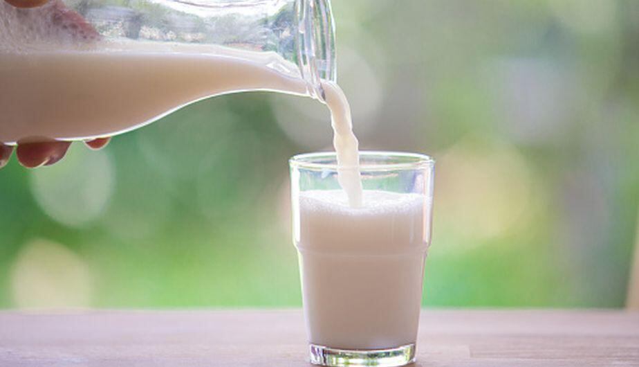 Lácteos, entre estos te recomendamos el yogurt por su buena fuente de probióticos ideales para mantener tu tracto digestivo saludable. Foto: Getty Images