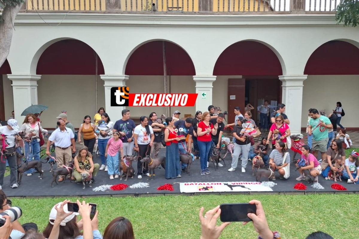 Decenas de perros peruanos sin pelo participaron en una celebración que rindió homenaje a esta raza emblemática del Perú. Foto: César Bueno.